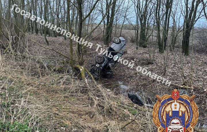 В Новомосковске 19-летняя девушка устроила ДТП с опрокидыванием