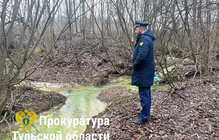 Прокуратура начала проверку после жалоб на зеленую воду в ручье на Новомедвенском проезде в Туле