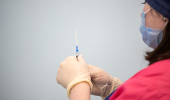 Первые укусы клещей зафиксированы в Тульской области