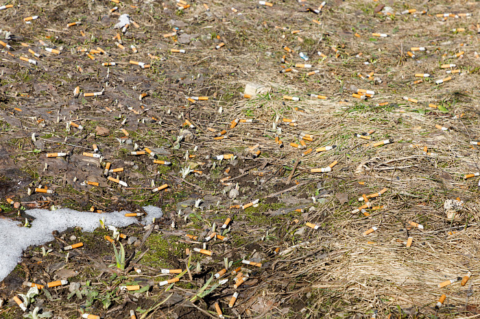 Идет – бычок валяется: фоторепортаж с улиц Тулы, от которого хочется прокашляться