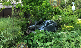 В тульском поселке Ленинский водитель Toyota Camry врезался в дерево и скрылся с места ДТП