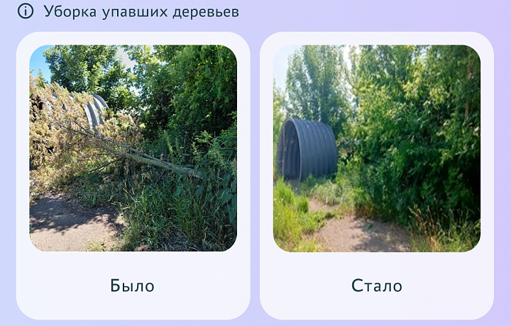 Тулякам назвали муниципалитеты, решившие за неделю больше всего проблем жителей