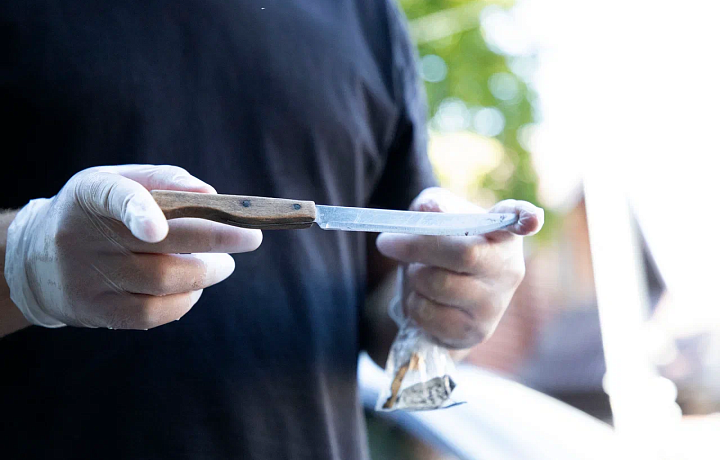 В Новомосковске осудят 28-летнюю женщину, едва не зарезавшую мужа