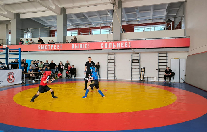 В Тульской области прошел Кубок по панкратиону «Куликово поле»