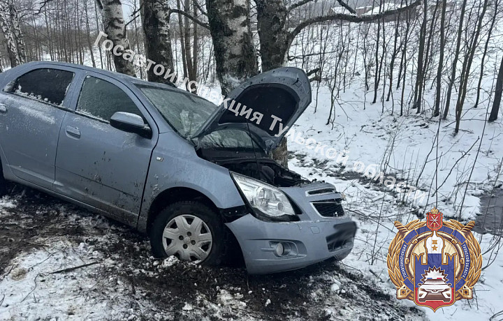 В Щёкинском районе женщина на иномарке врезалась в дерево
