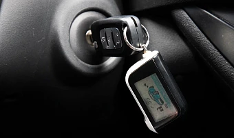 Запах нового Lexus или скорость подержанного Mustang: как выглядят и сколько стоят самые дорогие машины в Туле