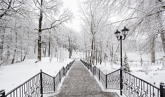 1 января в Центральной России похолодает до -15 градусов