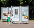 В Центральном парке Тулы открыли выставку, посвящённую 120-летию Крылова