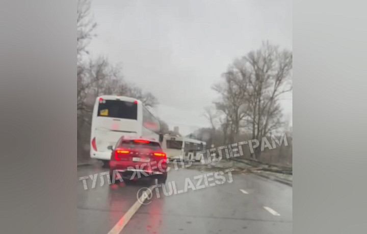 На Зеленстрое в Туле собирается пробка из-за рухнувшего на дорогу дерева