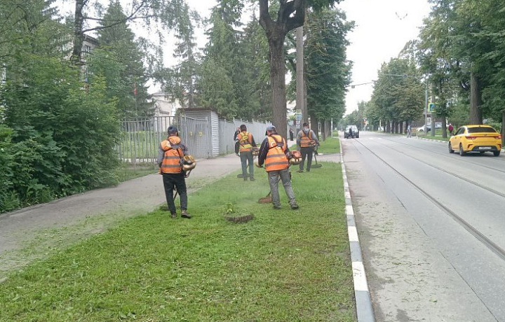 Уборка улиц, вывоз смета и окос газонов продолжатся в Туле 27 июня