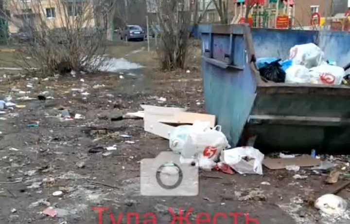 Туляки пожаловались на мусорный полигон во дворе жилых дворов