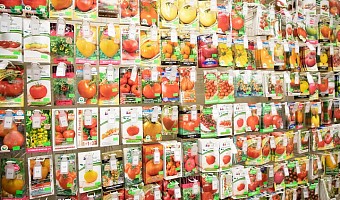 В Тульской области продавались семена, не внесенные в Госреестр