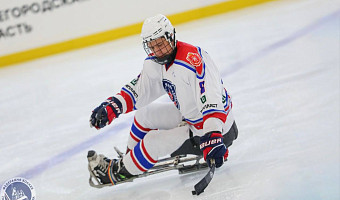 Тульский «АКМ-слеж» обыграл «Ястребов» со счетом 3:2