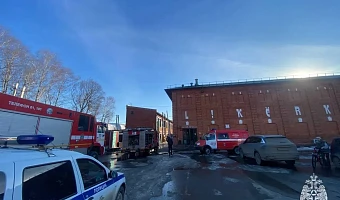 В Тульской области за неделю спасатели потушили 15 пожаров