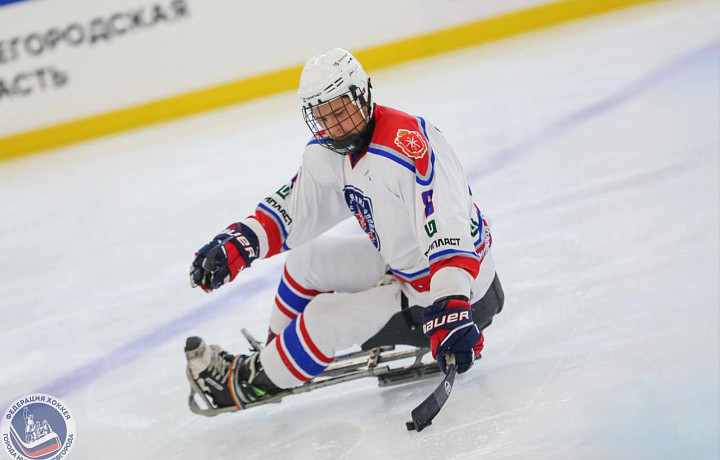 Тульский «АКМ-слеж» обыграл «Ястребов» со счетом 3:2