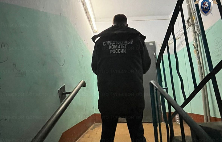 ﻿В Щекине женщина пойдет под суд за убийство своего сожителя