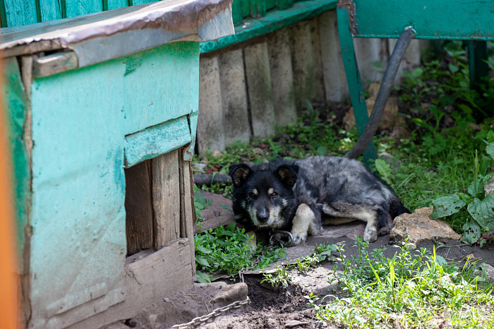 «Растила братьев и сестер, а свою семью так и не завела»: 100-летняя тулячка рассказала, как прожила век