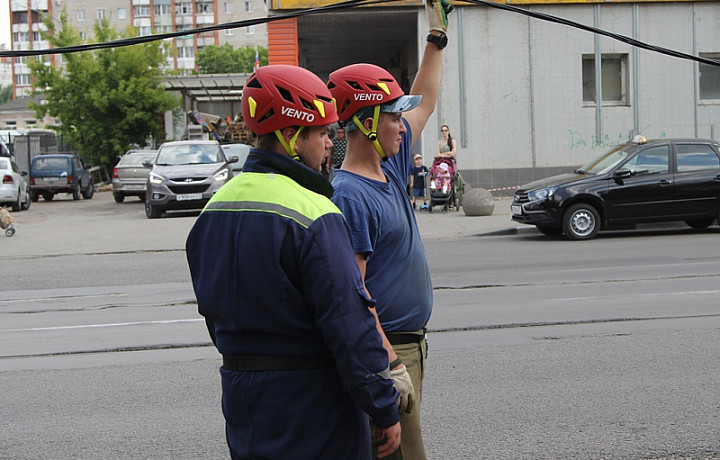 Упавшее дерево в Туле повредило два автомобиля