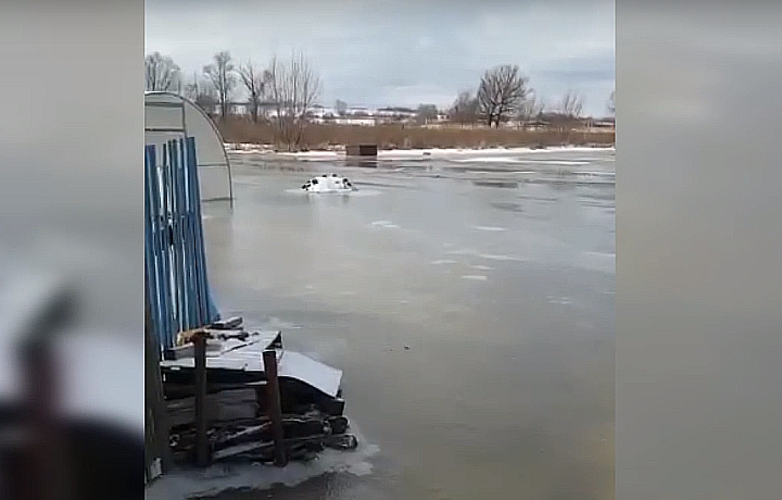 Жители села Дедилово Киреевского района сняли на видео последствия затопления