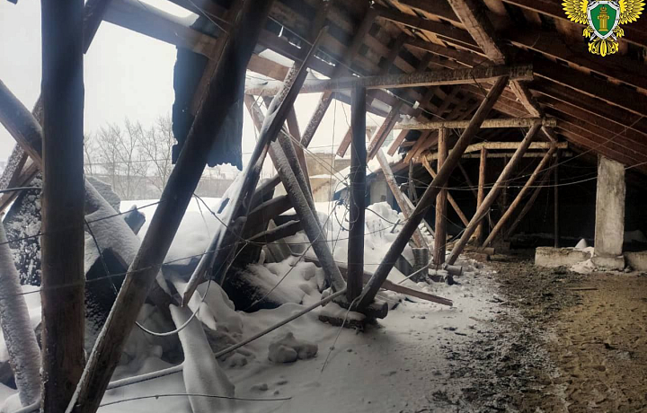 В Туле на улице Рихарда Зорге из-за снега обрушилась часть кровли жилого дома: прокуратура начала проверку