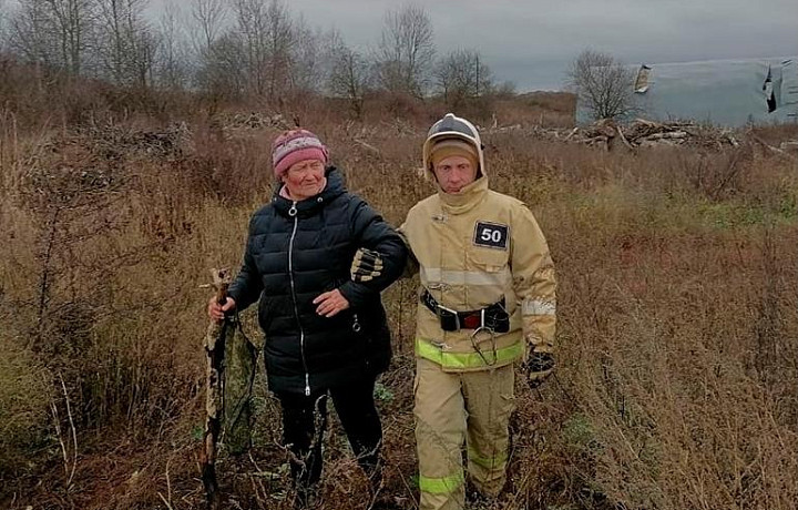 Сотрудники МЧС в Киреевском районе участвовали в поисках женщины