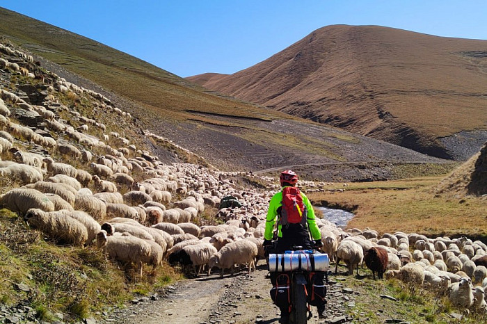 Тулячка путешествует на велосипеде по всему миру: добиралась до Индии и под впечатлением от российского Севера