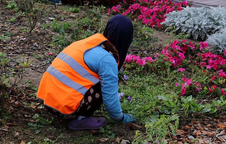В Туле до конца года высадят около 200 тысяч луковиц тюльпанов и 877 деревьев