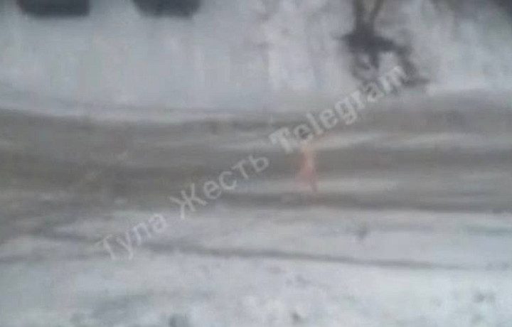 Голый мужчина разгуливает по Новомосковску