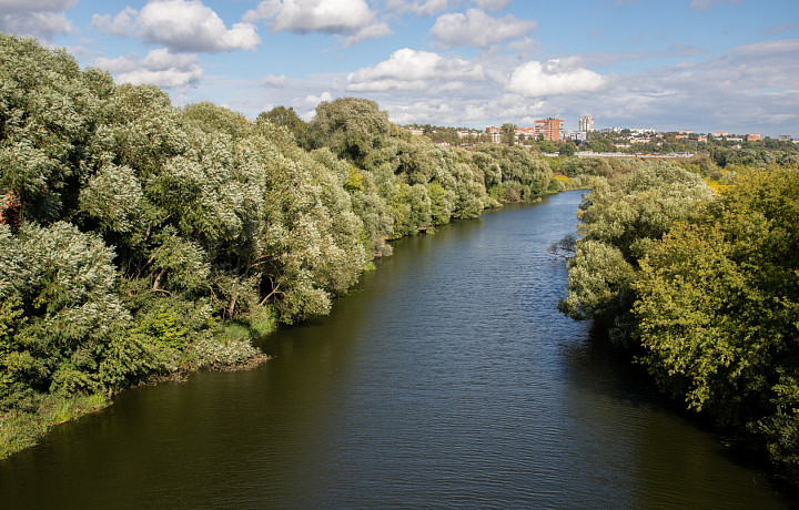 Эксперты рассказали, чем полезна рыбалка