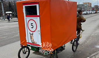 Мужчина с самодельным мини-домом на колёсах идёт из Тулы в Бразилию