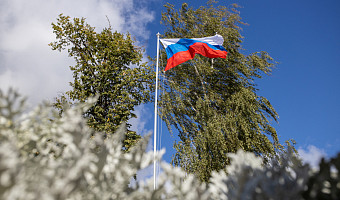 Общественный совет Херсонской области попросил немедленно провести референдум о вхождении в состав РФ