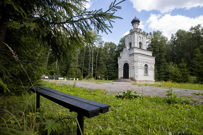 Фоторепортаж из Тесницого леса: как выглядит расстрельный полигон под Тулой