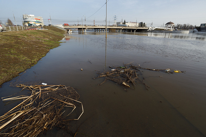 Заплыв у детского городка, затопленное кафе и завораживающая водная гладь: фоторепортаж с набережной в центре Тулы