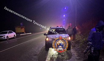 Внедорожник сбил 13-летнего подростка на трассе в Щекинском районе