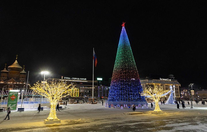 В Туле отказались от проведения праздничных мероприятий в честь открытия елки