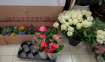 Мужики, придется раскошелиться: сколько стоит купить цветы к 8 марта в Туле сейчас