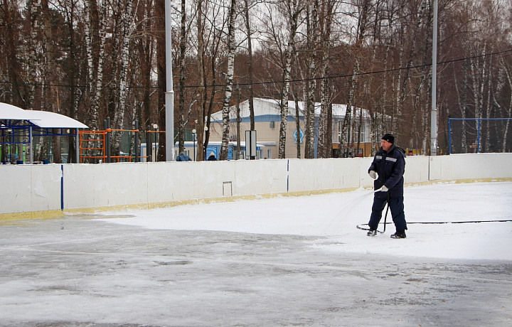 В Центральном парке Тулы начали заливать хоккейную коробку