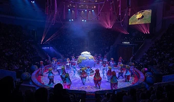 В Туле впервые пройдет детский цирковой фестиваль