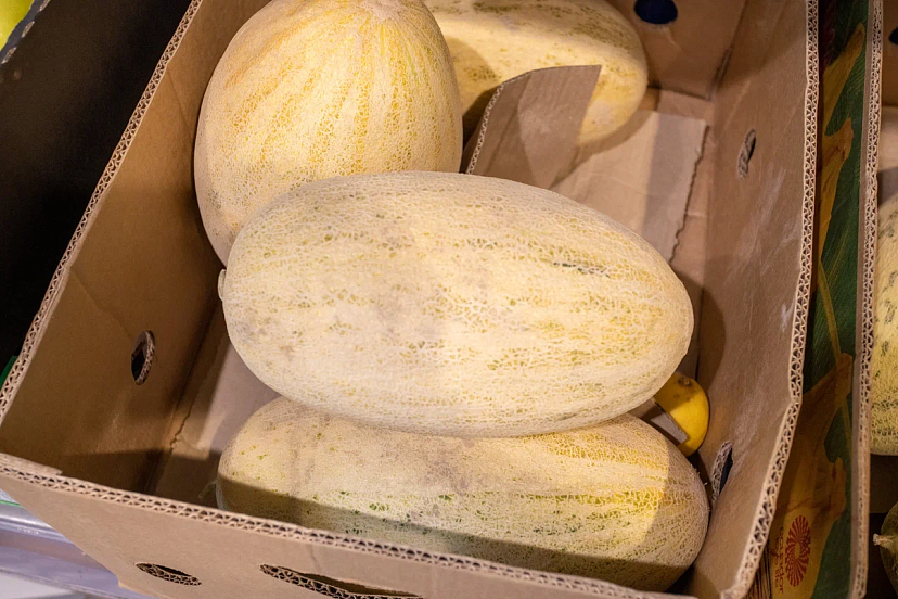 Диетолог назвала норму употребления дыни для взрослых и детей | ТСН24