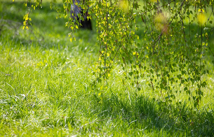 В Туле 19 июля будет ясно, ветрено и похолодает до +20 градусов