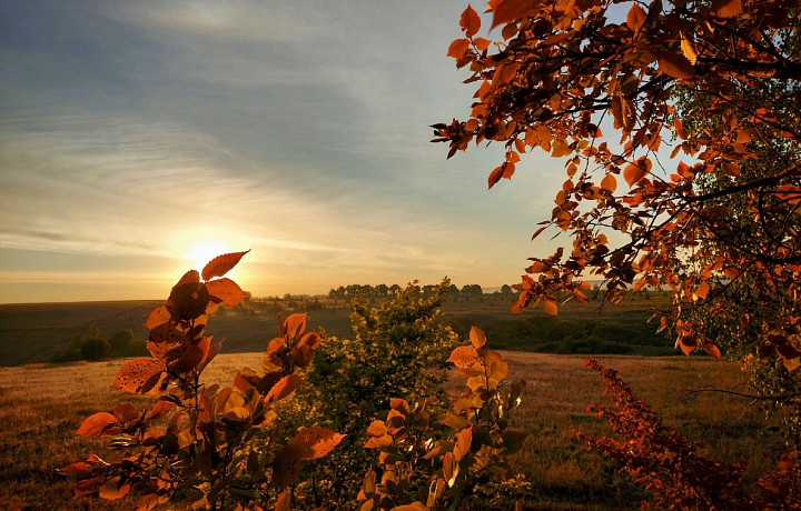 В Тульской области местный житель зафиксировал красивый рассвет