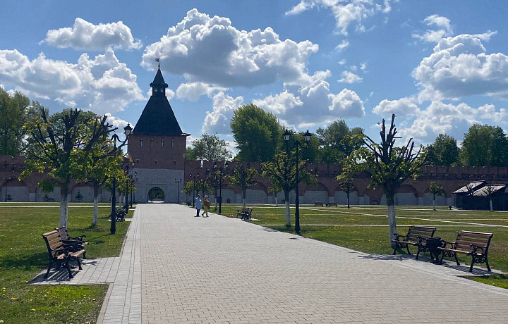 «Я недавно гулял по Туле, и здесь все не очень хорошо с деревьями»: арборист высказался о «формовочной обрезке» в оружейной столице