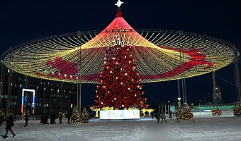 Тула включилась в празднование китайского Нового года: на куполе елки появился дракон