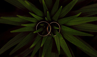 Без корабля любви и выкупа невесты: как изменились тульские свадьбы? Рассказывает ведущий