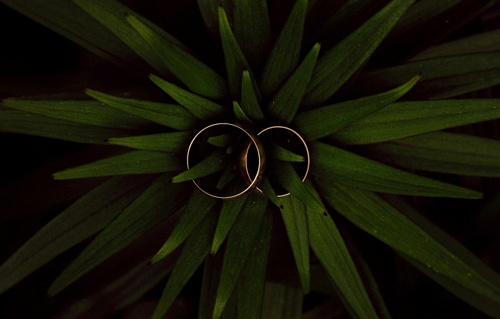 Без корабля любви и выкупа невесты: как изменились тульские свадьбы? Рассказывает ведущий