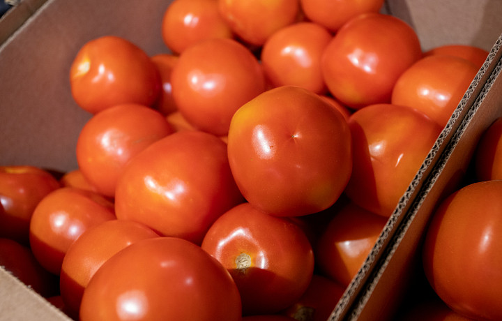 Колбасу и помидоры могут начать пускать в сетевые магазины «по прописке»