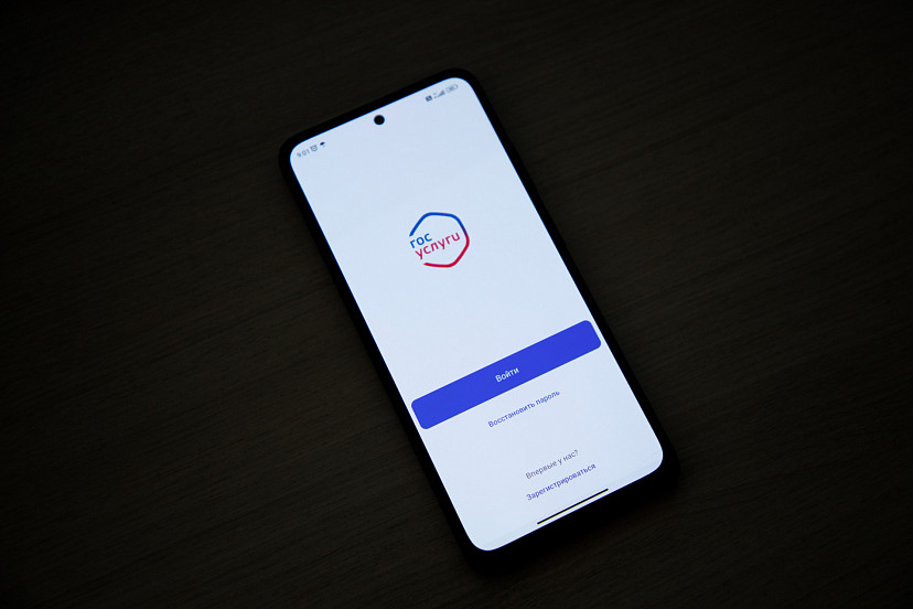 Юрист объяснила, что нужно сделать в первую очередь при взломе «Госуслуг» | ТСН24