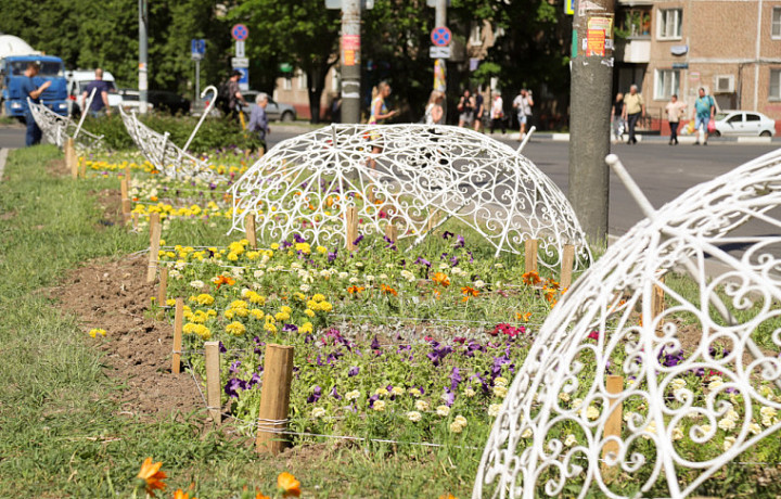 Более 230 тысяч цветов украсят летом клумбы Тулы