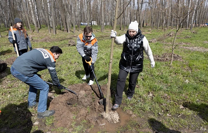 В Туле стартует первый общегородской субботник 29 марта