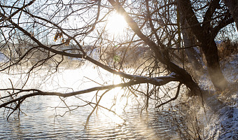 20-градусный мороз накроет Тульскую область в субботу, 31 января
